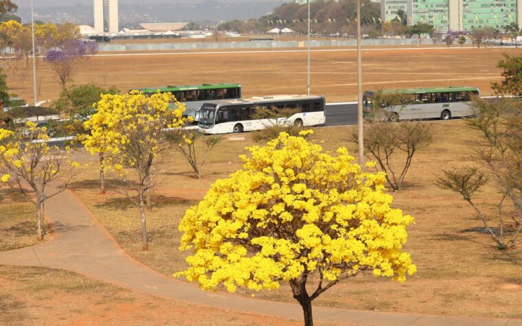 Centro-Oeste registra alertas de chuvas e umidade baixa