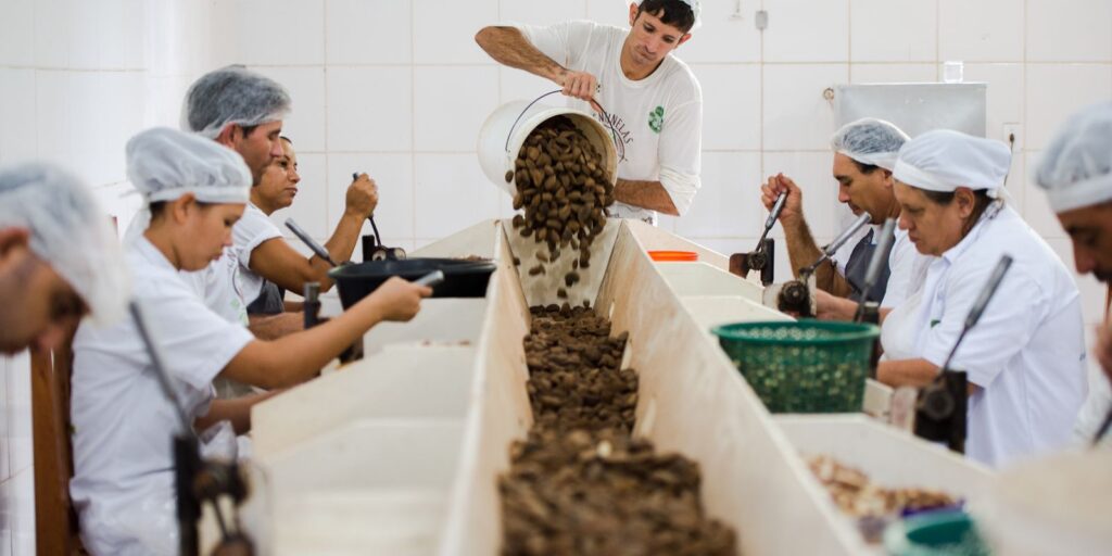 Consulta sobre bens sustentáveis no Mercosul-UE termina quarta