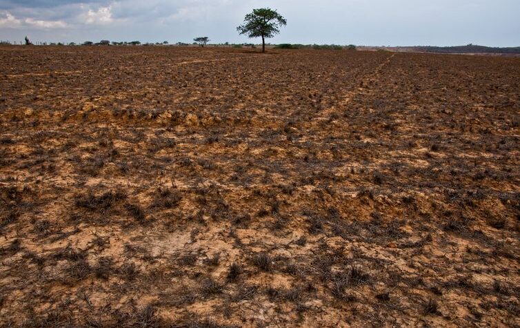 Seca avança da Amazônia à Europa e gera debates na COP17