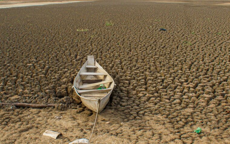 Brasil se compromete a restaurar 163 mil km² de terras até 2030