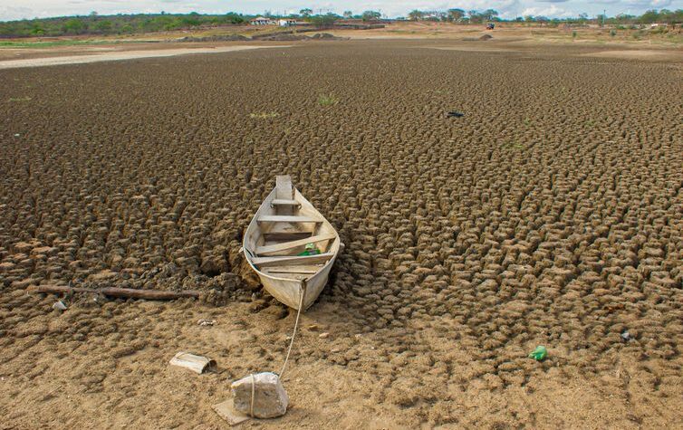 COP17 tem semana decisiva para desbloquear financiamento