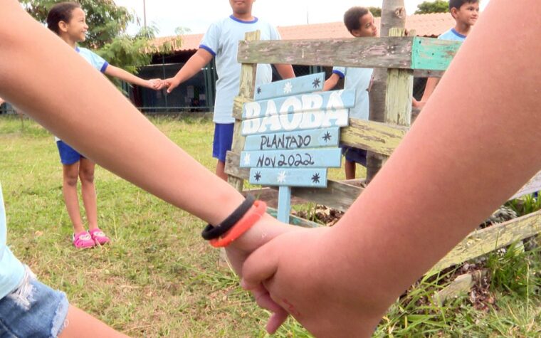 Construção da identidade parda é tema de Caminhos da Reportagem