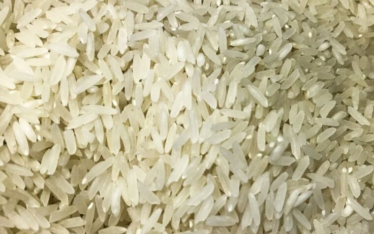 Brasil doará 10 toneladas de arroz à Colômbia após terremoto