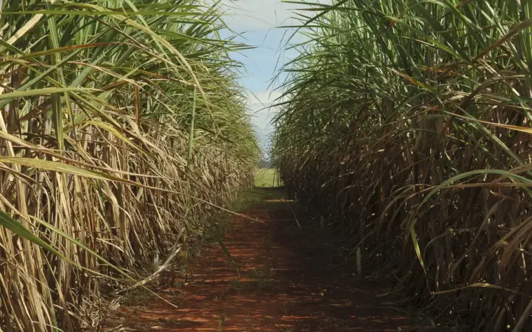 Conselho aumenta limite de remuneração do Eco Invest Brasil