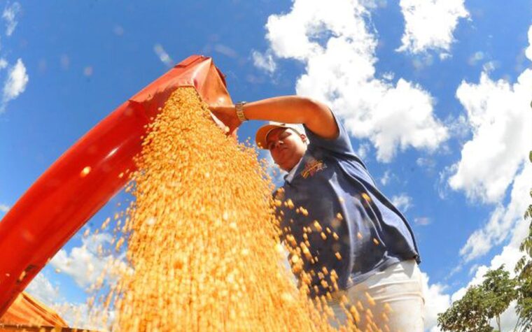 IBC-Br cai 0,6% em junho segundo Banco Central