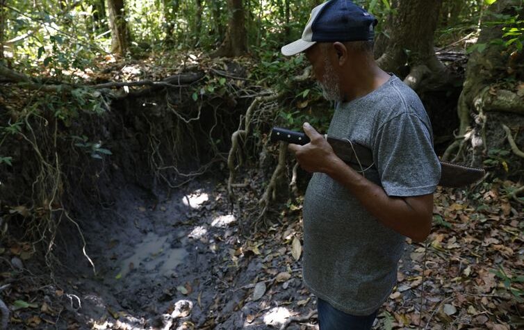 Desertificação no Brasil compromete segurança hídrica e alimentar