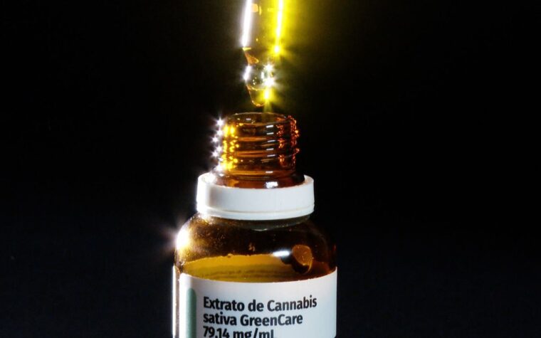 Importação de cannabis tem aumento de 29% em 2026