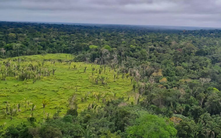 Desmatamento zero em 60% das terras indígenas da Amazônia