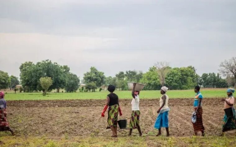 Muralha Verde restaura 1,66 milhão de hectares na África