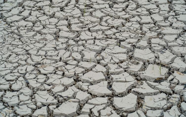 COP17 na Mongólia discute seca, terra e financiamento