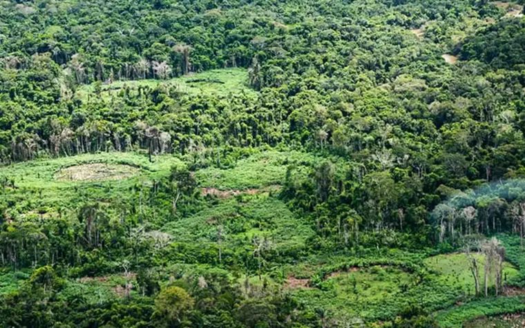Indígenas da Amazônia catalogam espécies para proteção ambiental