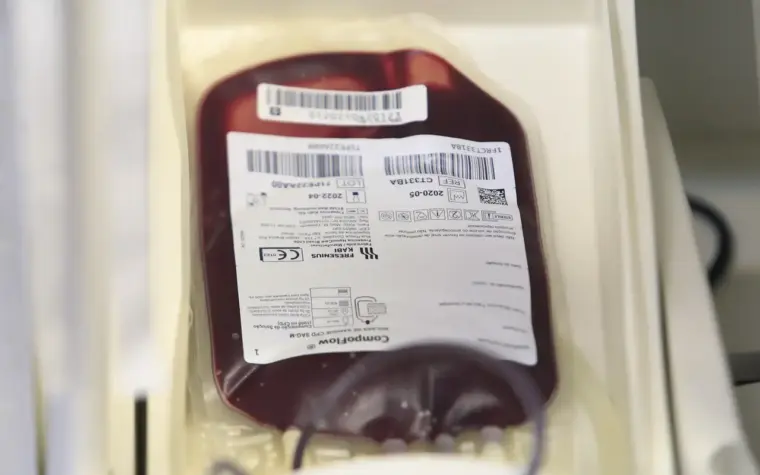 Fundação Pró-Sangue faz apelo por doações devido a baixo estoque
