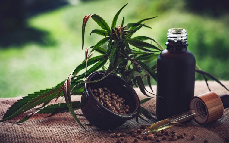 Normas sobre cannabis ainda geram dúvidas em associações