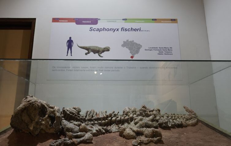 Museu de Ciências da Terra apresenta dinossauros no Morro da Urca