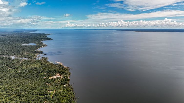 Amazônia possui mais de 2,7 mil espécies de peixes segundo estudo