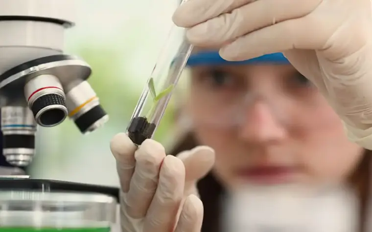 Prêmio para mulheres e meninas cientistas com inscrições até outubro