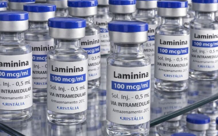 Polilaminina inicia testes clínicos fase 1 este mês