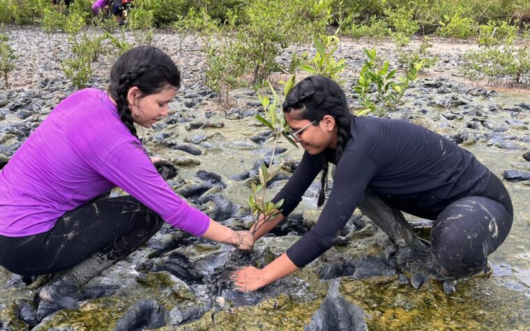 Fórum de Educação Ambiental recebe inscrições até 30 de outubro