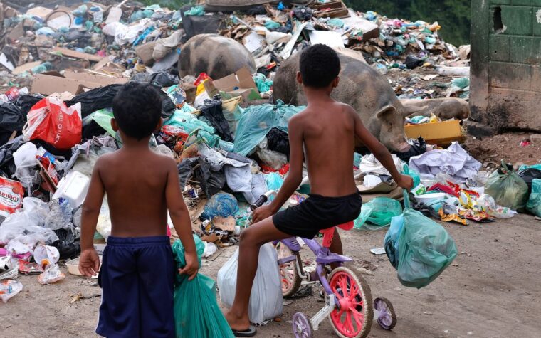 Senado aprova direito da criança a meio ambiente saudável