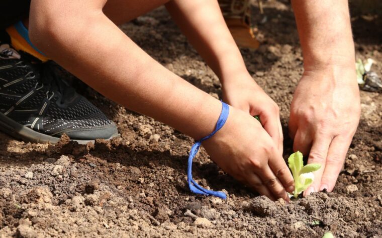 Agroecologia recebe apoio de candidatos em campanha eleitoral