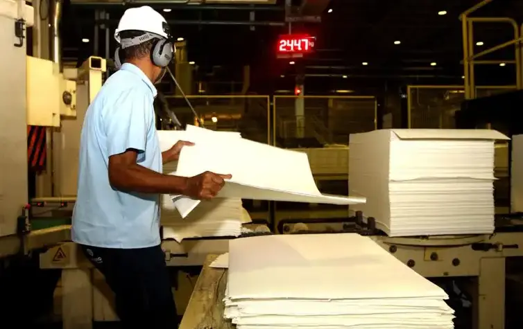 Produção florestal atinge R$ 47,9 bilhões em 2025