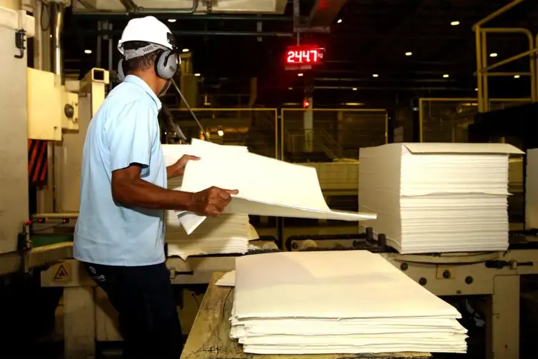 Produção florestal atinge R$ 47,9 bilhões em 2025
