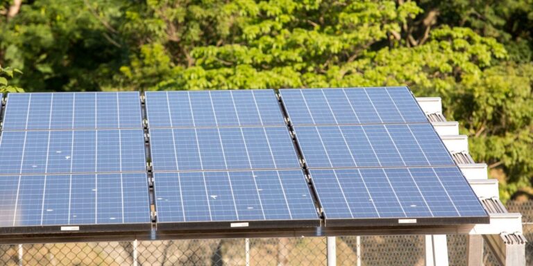 Leilão do Eco Invest capta quase R$ 50 bi para investimentos verdes