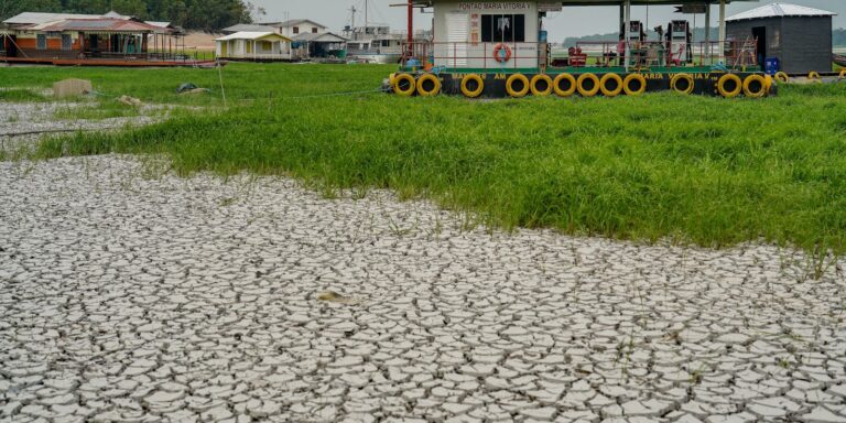 Campanha arrecada alimentos para vítimas da seca no Amazonas